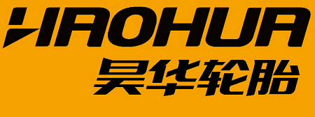 f1换轮胎被撞骨折