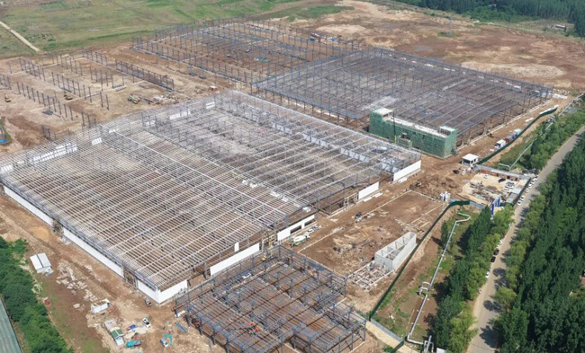 通益橡胶36亿元轮胎项目加速建设(图1)